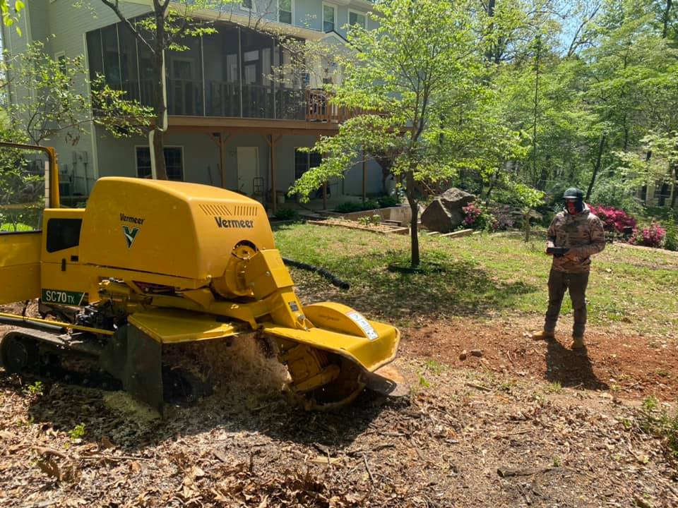 173538038_120352830127947_2121604905958782719_n