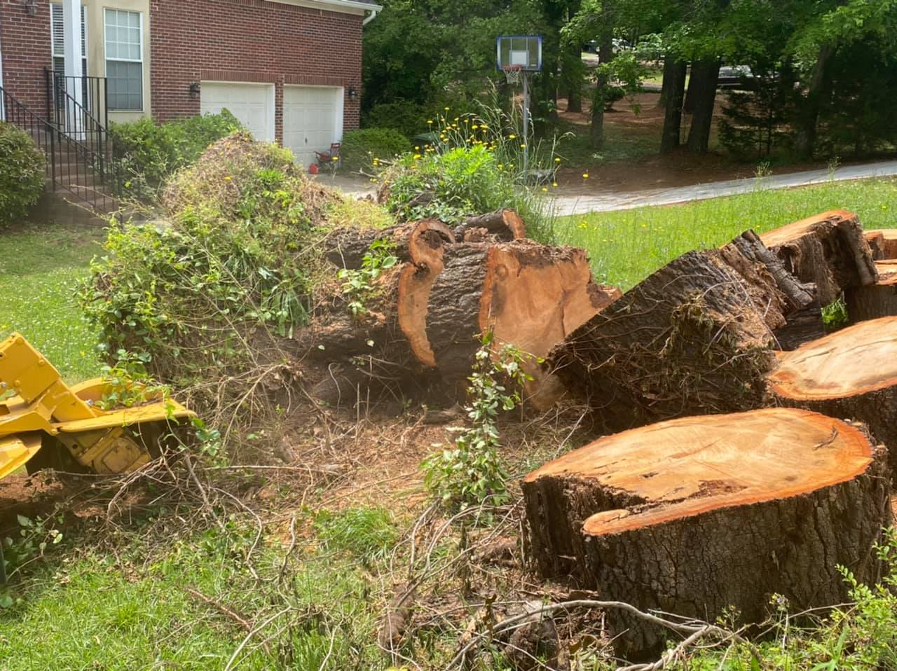 179318163_125138352982728_1727972237753984192_n