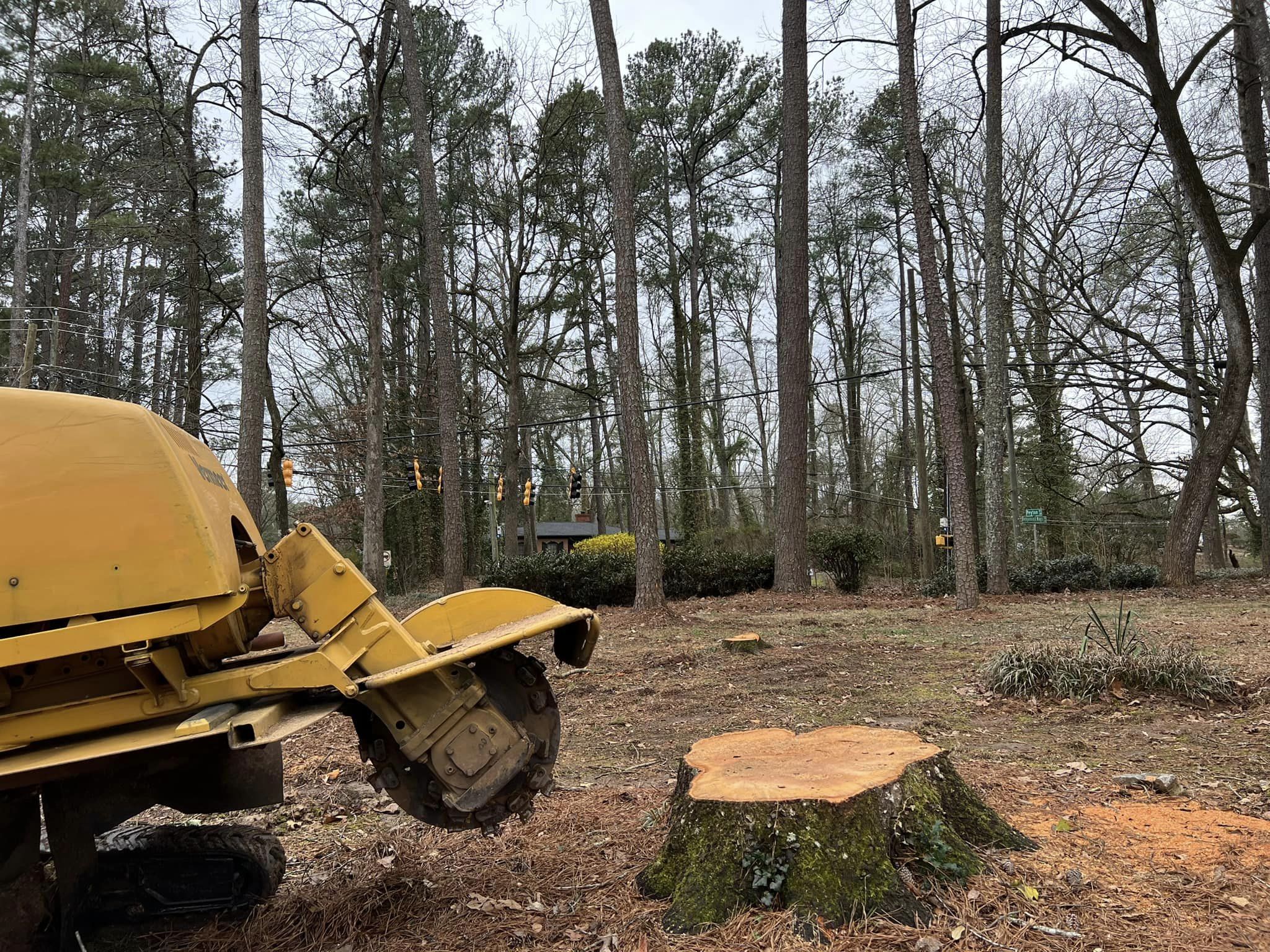 329758677_984874812476522_6707013510026320742_n