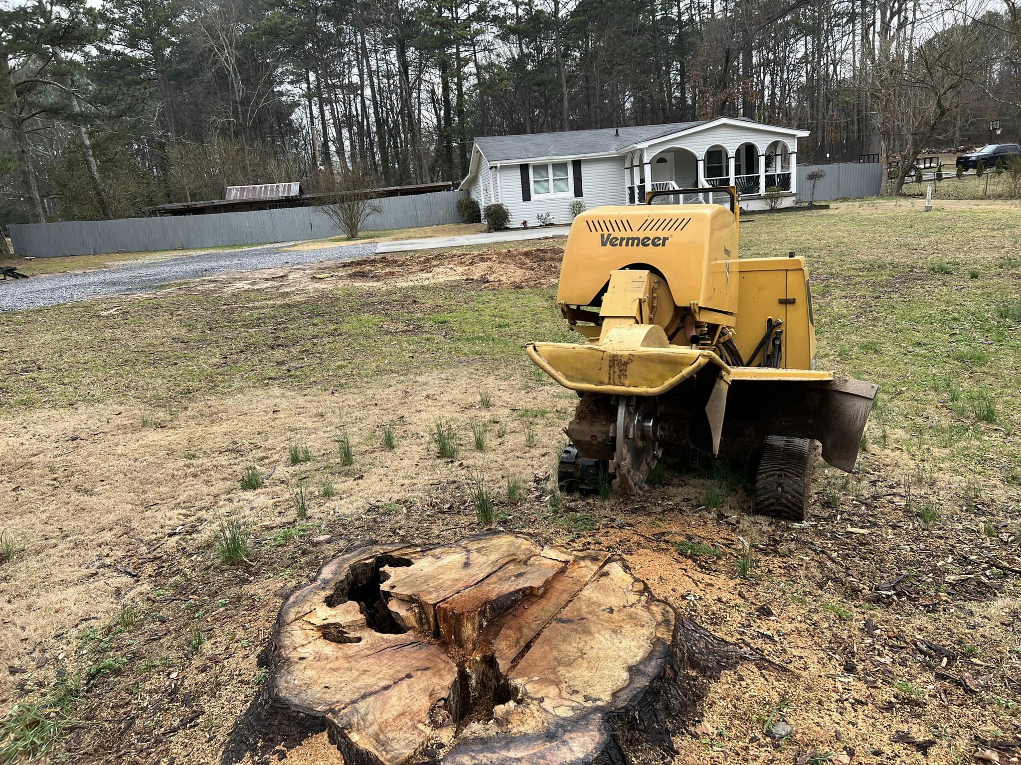 330343521_1504102106748628_3959656503964589826_n